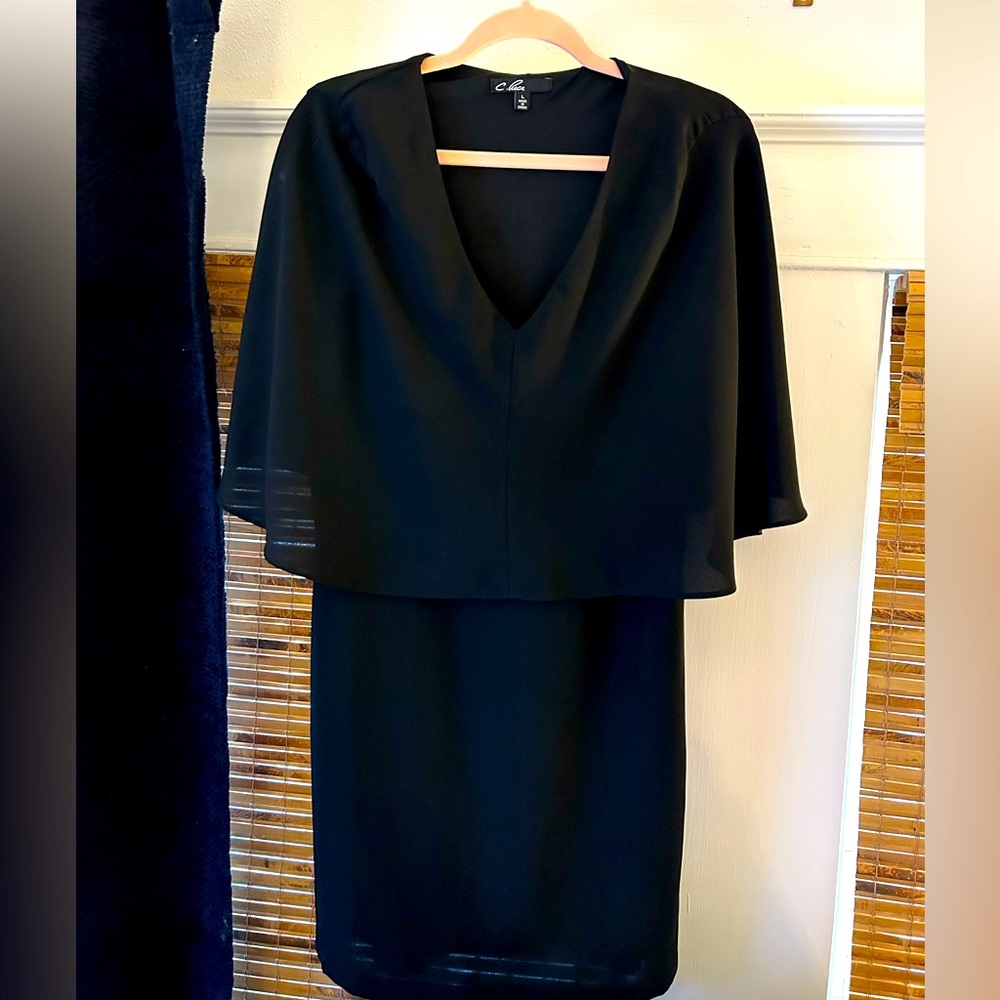 C. Luece Brand Cape Dress